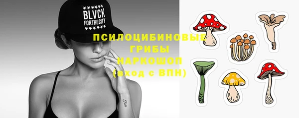 гидра Ижевск