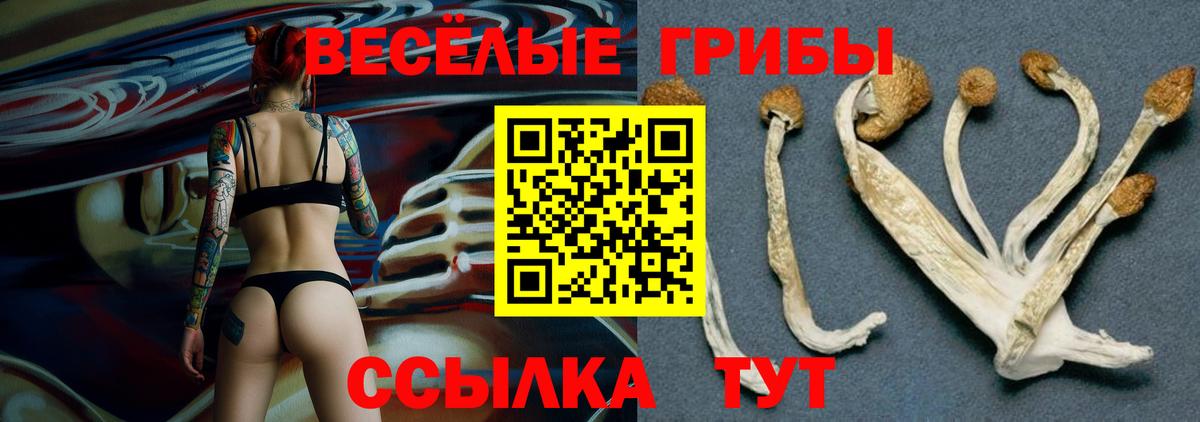 Уфа  Псилоцибиновые грибы прущие грибы  как найти   Вход с VPN 